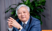 Tòa án tạm dừng việc cựu CEO Ecopark Đào Ngọc Thanh làm Chủ tịch Vinaconex