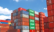 Cục Hàng hải Việt Nam kiếm giải pháp xử lý hơn 3.000 container quá hạn nhưng chưa có người đến nhận