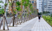 Hà Nội: Chỉnh trang đô thị bằng việc chuẩn bị lát gạch, đá cho hàng trăm tuyến phố