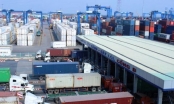 'Tung' khuyến mãi phí lưu bãi tại cảng để “giải tỏa” hàng ngàn container phế liệu