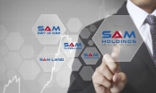 Nhiều lãnh đạo cấp cao của Sam Holdings liên tục từ nhiệm