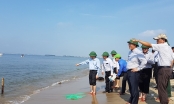 Quảng Nam: Cắm biển báo cấm tại đảo cát nổi lên giữa biển Hội An