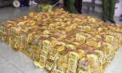 Nghệ An: Triệt phá đường dây ma túy “khủng”, thu giữ 600kg ma túy đá