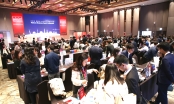 220 doanh nghiệp Việt Nam - Hàn Quốc tìm kiếm cơ hội hợp tác đầu tư