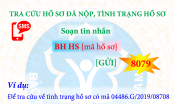 BHXH Việt Nam triển khai dịch vụ tin nhắn tra cứu quá trình tham gia BHXH, BHYT