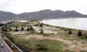 Dự án khu lấn biển Mũi Tấn tái khởi động sau 6 năm bị 'treo'