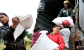Thủ tướng chỉ đạo cấp hơn 1.000 tấn gạo cứu đói cho Thanh Hóa, Đắk Lắk
