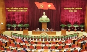 Tổng Bí thư, Chủ tịch nước Nguyễn Phú Trọng chủ trì và chỉ đạo các phiên họp của Hội nghị Trung ương 10