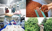 40 doanh nghiệp Việt đưa nông sản, thực phẩm sang Trung Quốc giao thương
