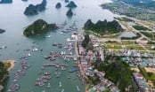 Quảng Ninh đồng ý nghiên cứu ý tưởng quy hoạch khu đô thị ven biển Cái Rồng