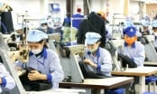 'Hiệp định CPTPP đã bắt đầu phát huy tác dụng, doanh nghiệp Việt phải tận dụng được thời cơ'