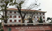 Bắc Ninh: Đấu giá khu đất thu hồi của Tập đoàn Dabaco để xây cao ốc