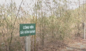 Kết luận Thanh tra dự án công viên Sài Gòn Safari: UBND TP.HCM và các tổ chức, cá nhân bị kiến nghị kiểm điểm
