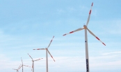 Ẩn số Điện gió Thanglong Wind vốn 'khủng' 12 tỷ USD