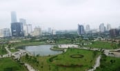 Hà Nội dừng dự án 'xén' đất Công viên Cầu Giấy làm bãi đỗ xe ngầm