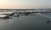 Bà Rịa – Vũng Tàu: Trình thủ tướng chấp thuận chủ trương dự án Khu đô thị biển quy mô hơn 1.500 ha