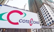 Lợi nhuận của Coteccons giảm hơn 70% trong quý II/2019