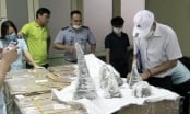 Bắt vụ vận chuyển hơn 125 kg sừng tê giác về sân bay Nội Bài