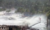 Sáng mai, bão số 3 sẽ đổ bộ vào Quảng Ninh - Hải Phòng