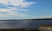 Nhà máy điện mặt trời Cẩm Hòa sản xuất đạt 100% công suất