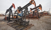 Giá dầu bật tăng nhờ kỳ vọng OPEC giảm sản lượng