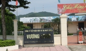 Sau gần 15 năm giao đất Khu đô thị Vương Long Vân Đồn vẫn 'bất động'