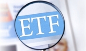 Cổ phiếu họ “Vin” chiếm  hơn 43% danh mục giải ngân của Premia ETF