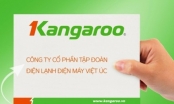 Thương hiệu Kangaroo mỗi ngày 'đút túi' gần 750 triệu đồng lợi nhuận trong quý II/2019
