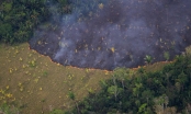 Cháy rừng Amazon - 'lá phổi' địa cầu trước nguy cơ bị bức tử