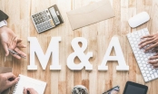 Thị trường M&A 2019-2020: Nhận diện các thương vụ đình đám và lĩnh vực đột phá