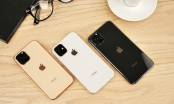 iPhone 11 có mặt tại Việt Nam ngày 20.9, giá từ 30 triệu đồng?