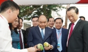 Thủ tướng dự hội nghị xúc tiến đầu tư lớn nhất của Lạng Sơn