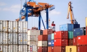 Giải phóng thêm gần 900 container phế liệu vô chủ 'chây ì' tại cảng biển