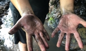 Vụ nước sạch sông Đà nhiễm dầu thải: Cần sớm khởi tố vụ án