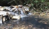 NÓNG: Khởi tố hình sự vụ đổ dầu thải gây sự cố nước sạch sông Đà