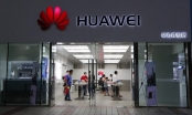 Bị Mỹ trừng phạt, Huawei chiếm thị phần smartphone kỷ lục ở Trung Quốc