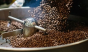 3 lý do tại sao Starbucks thành công khắp thế giới nhưng chỉ chiếm chưa tới 3% thị phần cà phê ở Việt Nam?