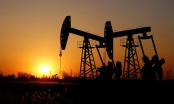 Triển vọng giá dầu năm 2020