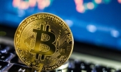 Biến động thị trường tiền ảo Bitcoin trong năm 2020