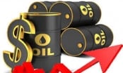 Giá dầu có thể vượt 80 USD