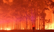 Cháy rừng ở Australia đang 'giáng một đòn mạnh' vào nền kinh tế của nước này