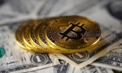 Giá Bitcoin tăng mạnh, vượt 8.000 USD