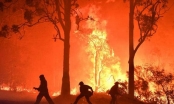 Cháy rừng ở Australia: Khung cảnh tàn khốc của một trong những thảm họa lớn nhất trong lịch sử Australia