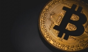 Bitcoin đã tăng 20% từ đầu năm, được dự báo đạt mức 16.000 USD vào cuối năm