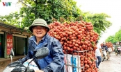 Trái cây Việt tiếp tục thâm nhập nhiều thị trường khó tính