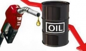 Quỹ bình ổn giá xăng dầu dư hơn 2.779 tỷ đồng