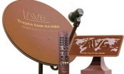 AVG ‘tái xuất‘, dự báo hâm nóng thị trường truyền hình trả tiền với hàng loạt gói kênh mới