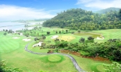 Tái khởi động sân golf nghìn tỷ ở Bà Rịa-Vũng Tàu sau gần 12 năm ‘án binh bất động’