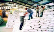 Tổng cục Dự trữ đảm bảo nhập kho 190.000 tấn gạo và 80.000 tấn thóc trước 15/6