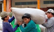 Bộ Tài chính đề nghị dừng xuất khẩu gạo tẻ